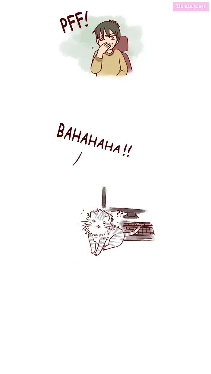 My Kitty and Old Dog Zinmanga X Chapter 93 Page 5
