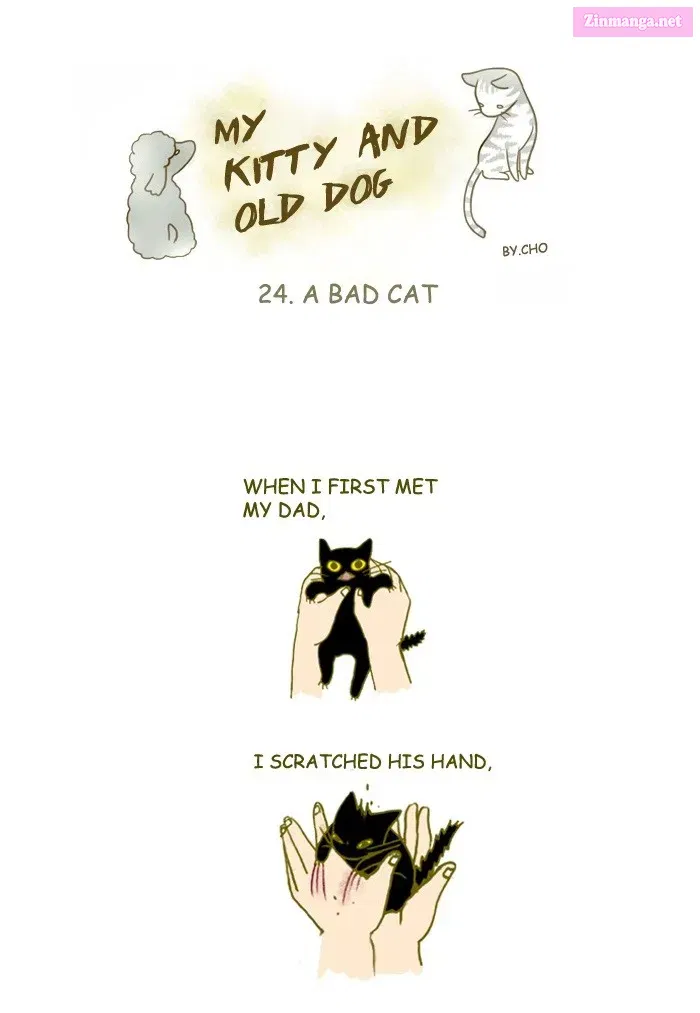 My Kitty and Old Dog Zinmanga X Chapter 24 Page 1