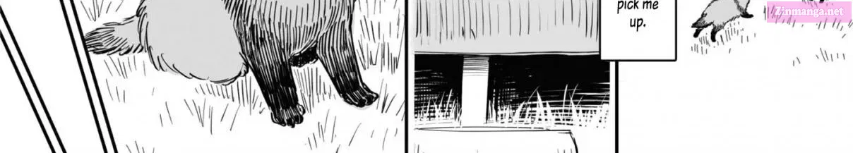 Omae, Tanuki Ni Naranee Ka? Zinmanga X Chapter 12.5 Page 3