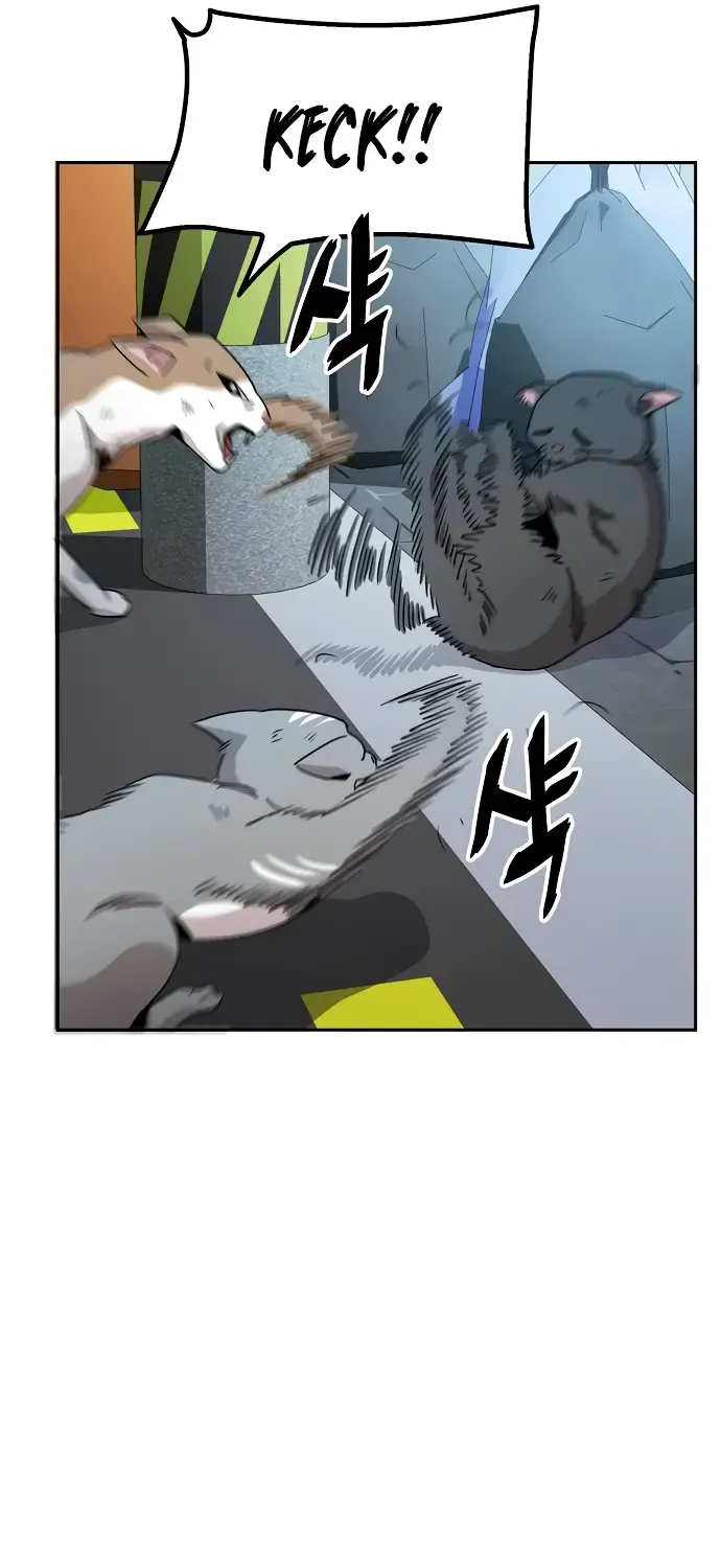 Unemployed Gye Baek Soon Zinmanga X Chapter 5 Page 29