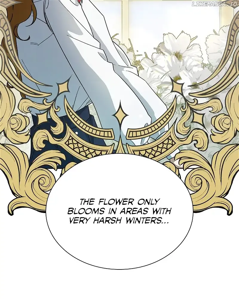 Sincerely, Vanessa Zinmanga X Chapter 11 Page 55