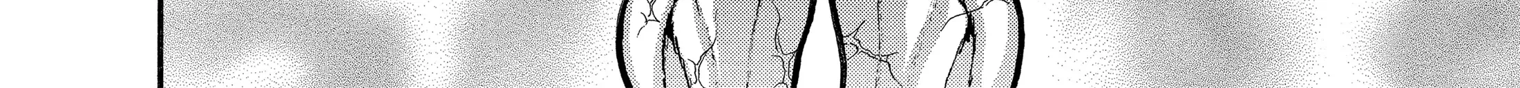 Hanma Baki - Son of Ogre (Shinsoban Release) Zinmanga X Chapter 157 Page 53