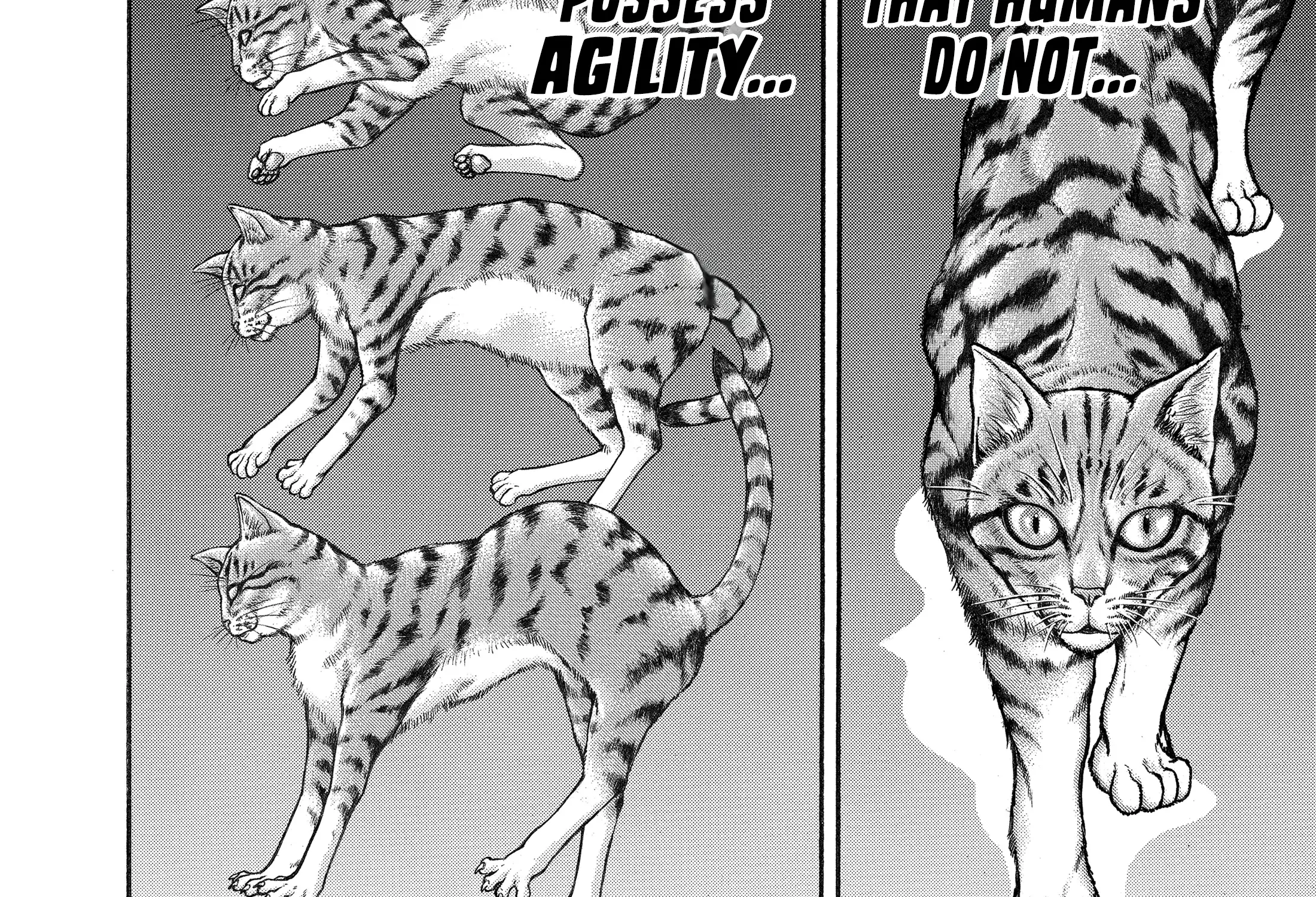 Hanma Baki - Son of Ogre (Shinsoban Release) Zinmanga X Chapter 153 Page 23