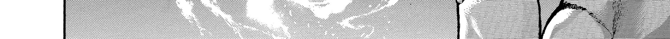 Hanma Baki - Son of Ogre (Shinsoban Release) Zinmanga X Chapter 145 Page 29