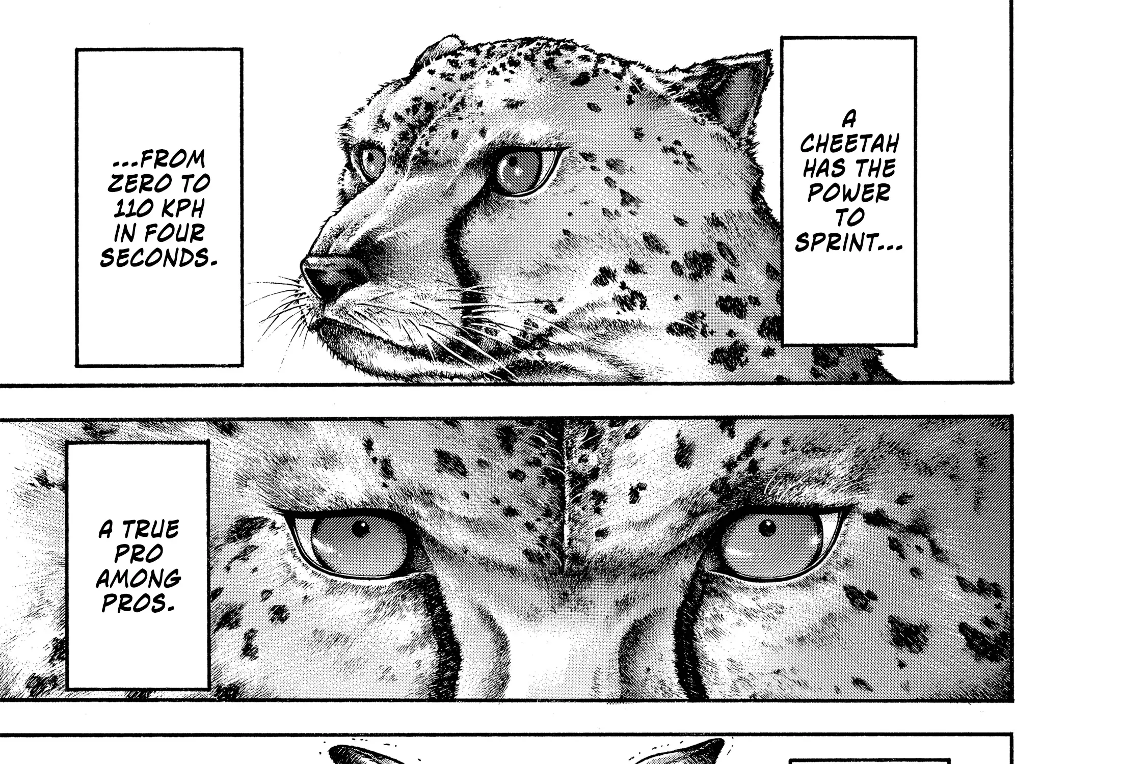 Hanma Baki - Son of Ogre (Shinsoban Release) Zinmanga X Chapter 144 Page 12