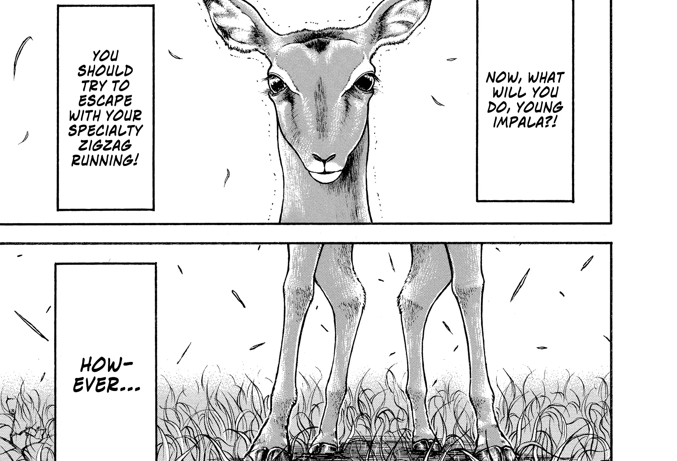 Hanma Baki - Son of Ogre (Shinsoban Release) Zinmanga X Chapter 144 Page 13