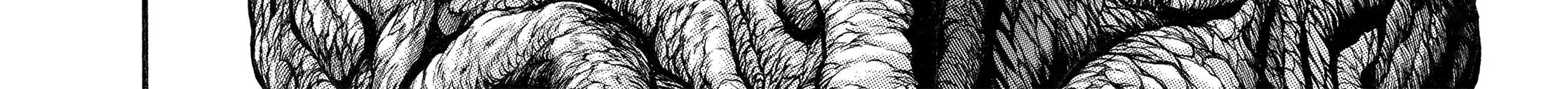 Hanma Baki - Son of Ogre (Shinsoban Release) Zinmanga X Chapter 133 Page 6