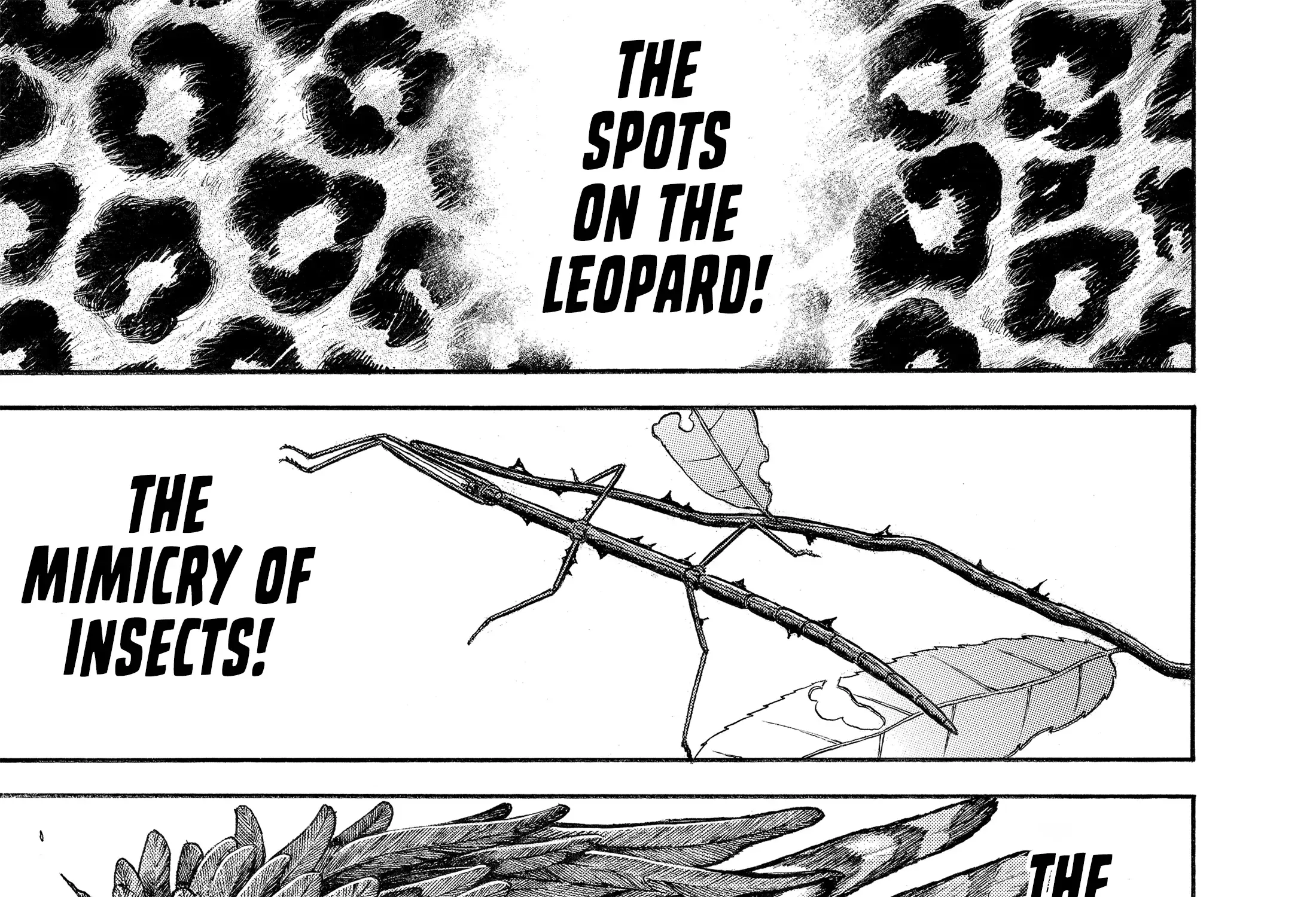 Hanma Baki - Son of Ogre (Shinsoban Release) Zinmanga X Chapter 127 Page 43