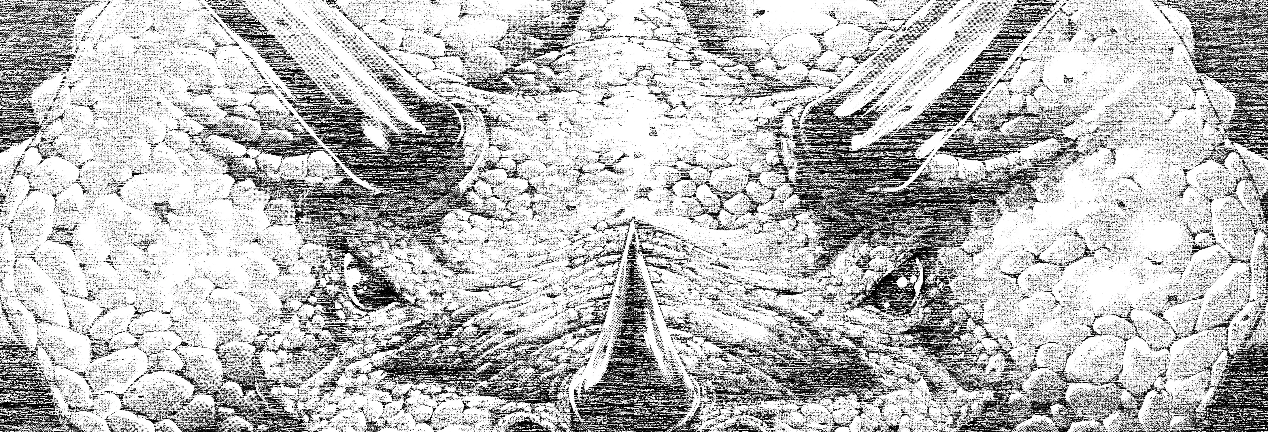 Hanma Baki - Son of Ogre (Shinsoban Release) Zinmanga X Chapter 117 Page 51