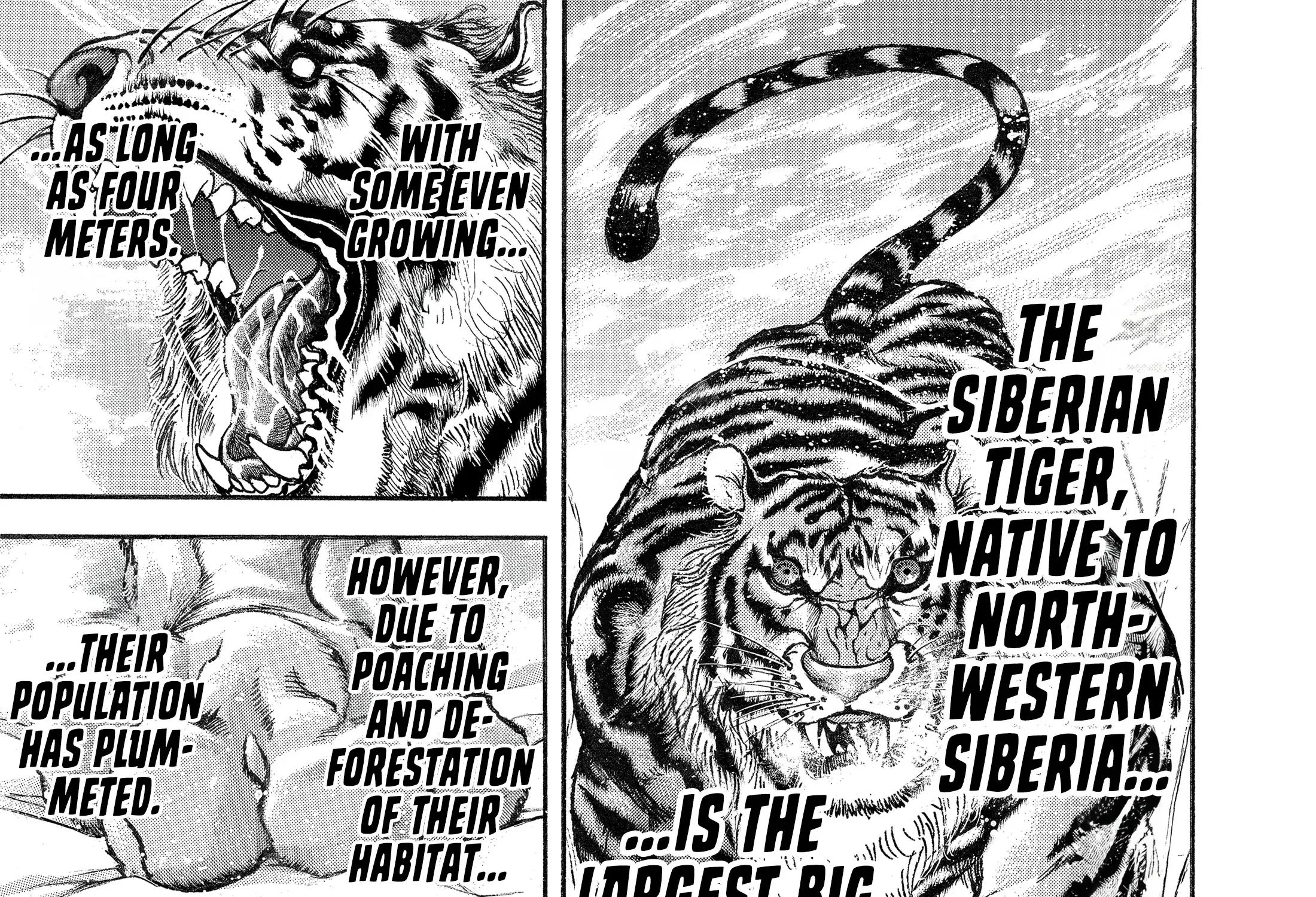 Hanma Baki - Son of Ogre (Shinsoban Release) Zinmanga X Chapter 99 Page 10