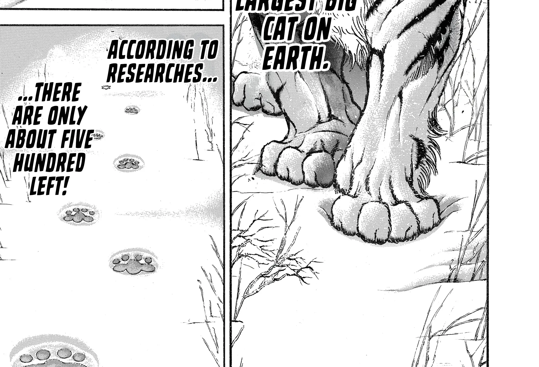 Hanma Baki - Son of Ogre (Shinsoban Release) Zinmanga X Chapter 99 Page 11