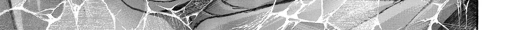 Hanma Baki - Son of Ogre (Shinsoban Release) Zinmanga X Chapter 80 Page 14