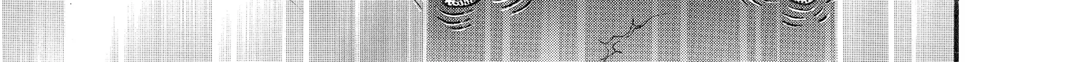 Hanma Baki - Son of Ogre (Shinsoban Release) Zinmanga X Chapter 68 Page 41