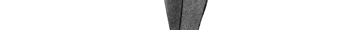 Minami-Ke Zinmanga X Chapter 322.5 Page 5