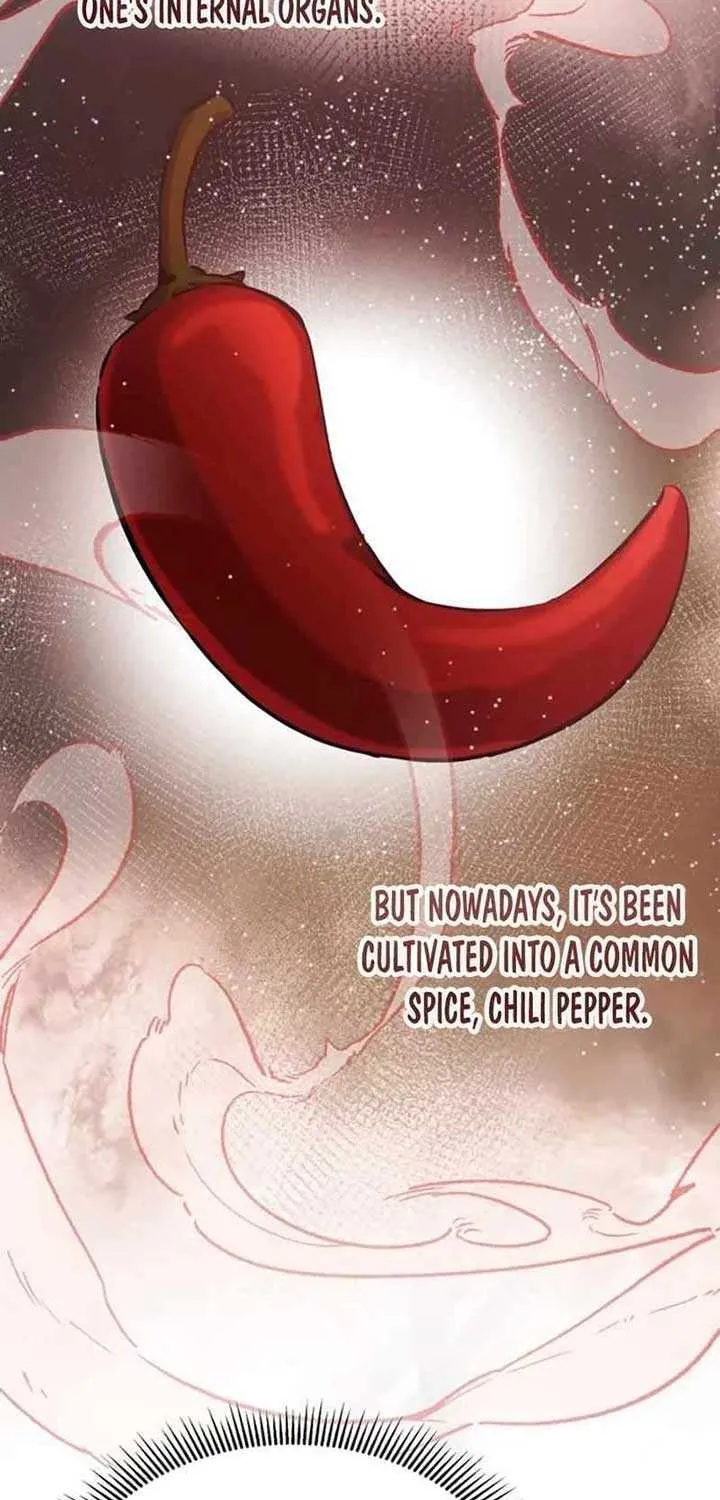 Drug Devourer Zinmanga X Chapter 102 Page 62