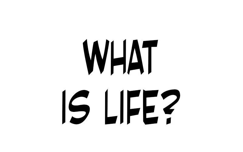 The Priest Of Corruption Zinmanga X Chapter 1 Page 7