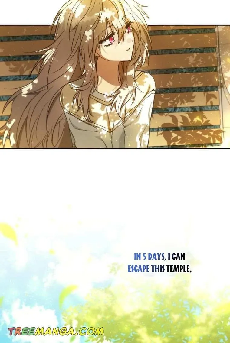 A Saintess Who Was Adopted By The Grand Duke Zinmanga X Chapter 5 Page 67