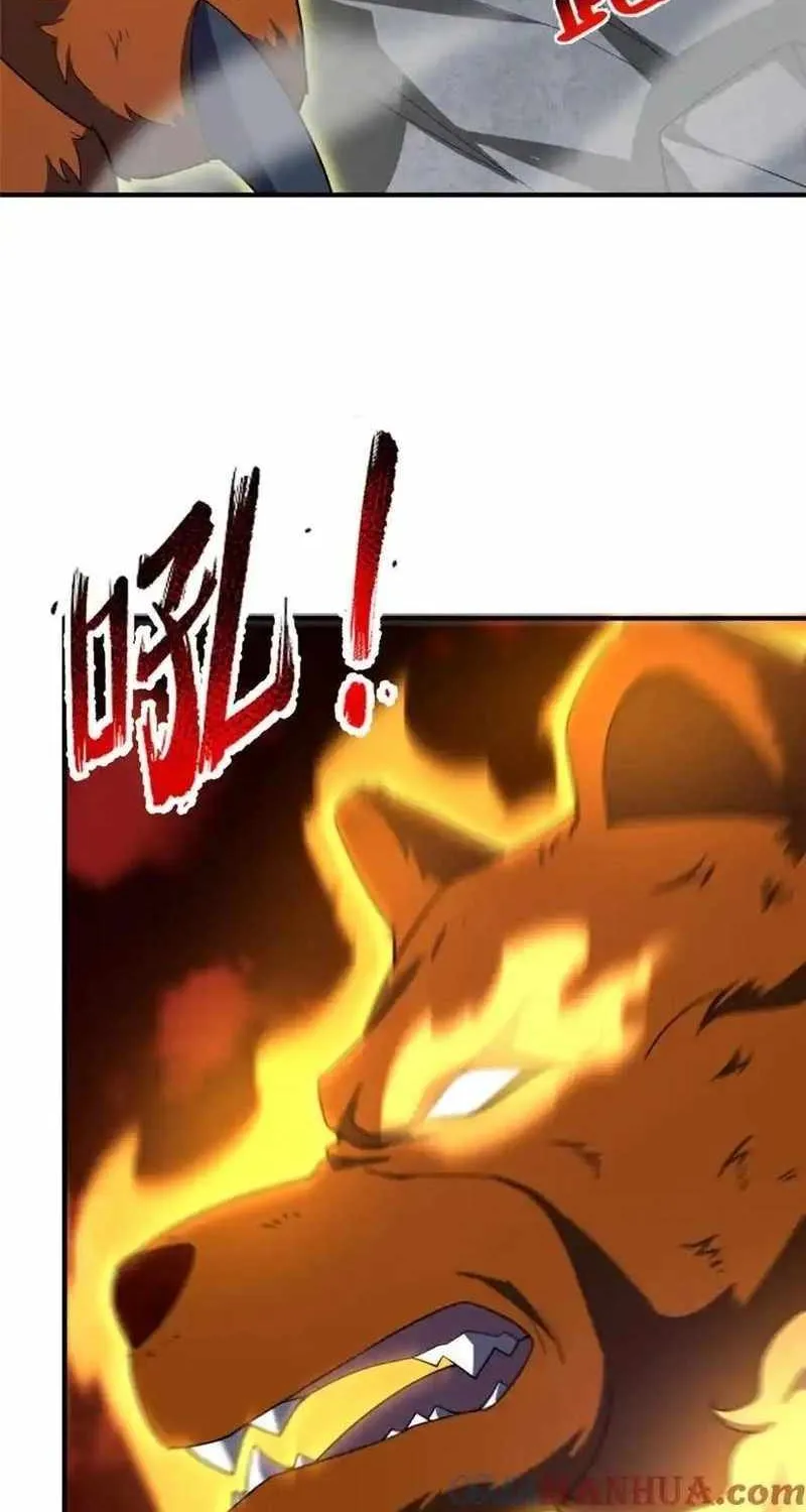 Monster Pet Evolution Zinmanga X Chapter 240 Page 5