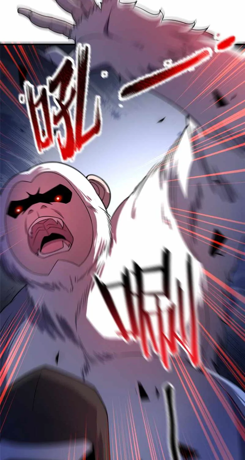 Monster Pet Evolution Zinmanga X Chapter 146 Page 8