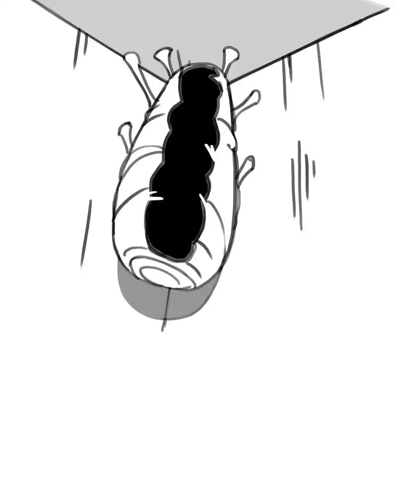 Bluechair Zinmanga X Chapter 745 Page 4