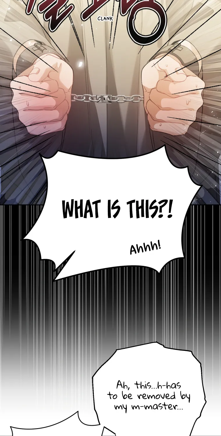 Screw the Noble Life, I’m Going Home Zinmanga X Chapter 15 Page 19