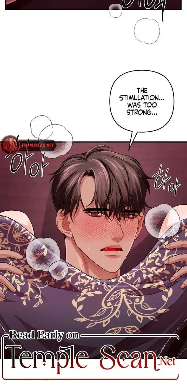 All About Dominative And Exclusive Destruction Zinmanga X Chapter 38 Page 88