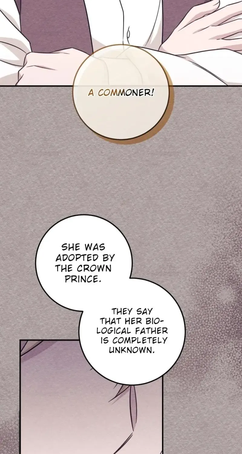 Baby Pharmacist Princess Zinmanga X Chapter 66 Page 17