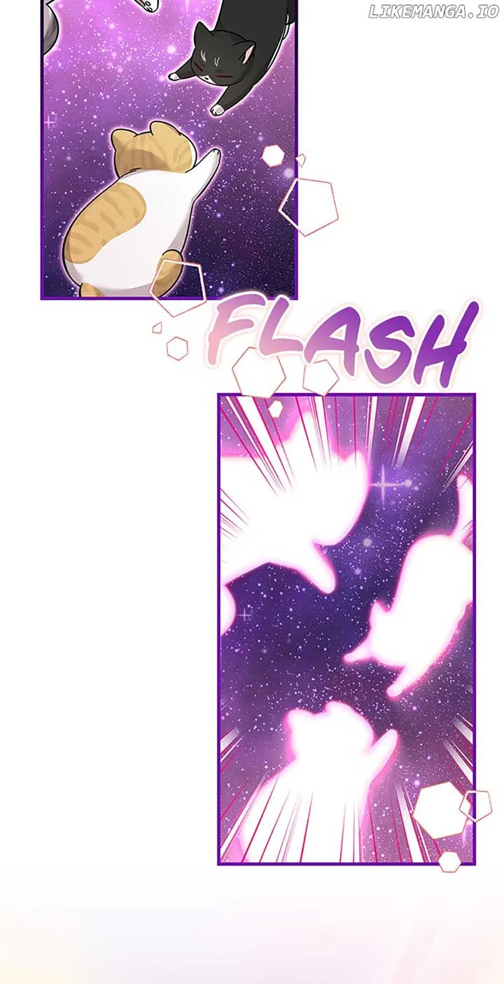Baby Pharmacist Princess Zinmanga X Chapter 45 Page 62