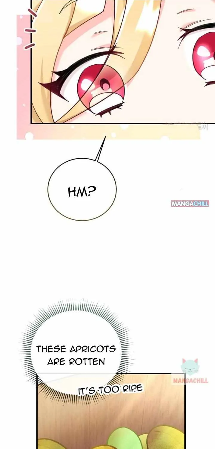 Baby Pharmacist Princess Zinmanga X Chapter 11 Page 9