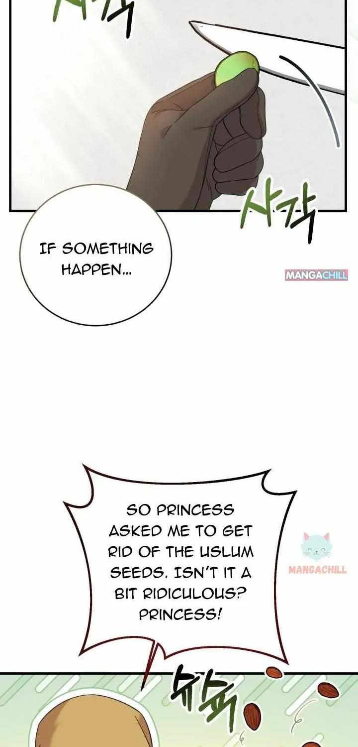Baby Pharmacist Princess Zinmanga X Chapter 11 Page 15