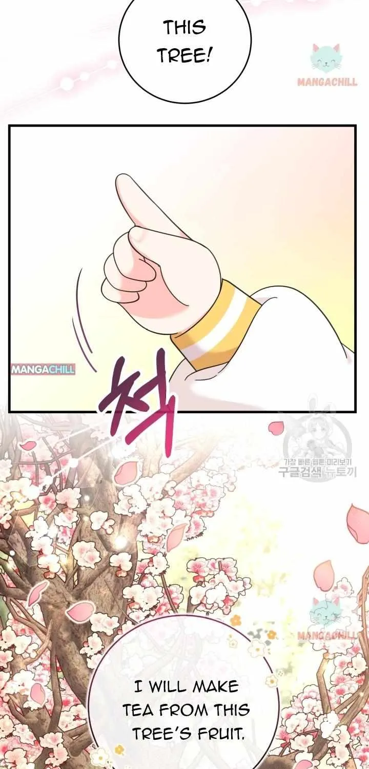 Baby Pharmacist Princess Zinmanga X Chapter 9 Page 14