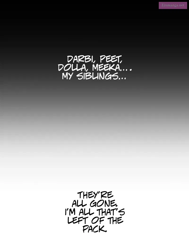 Darbi Zinmanga X Chapter 162 Page 11