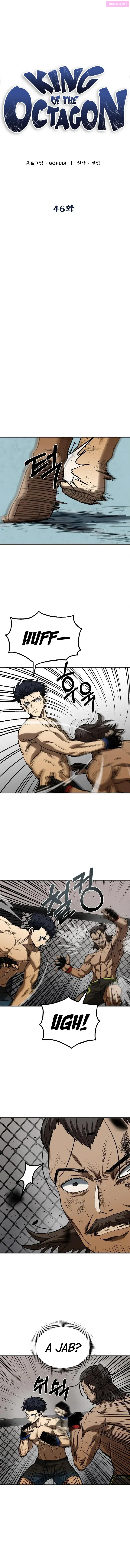 King of the Octagon Zinmanga X Chapter 46 Page 3