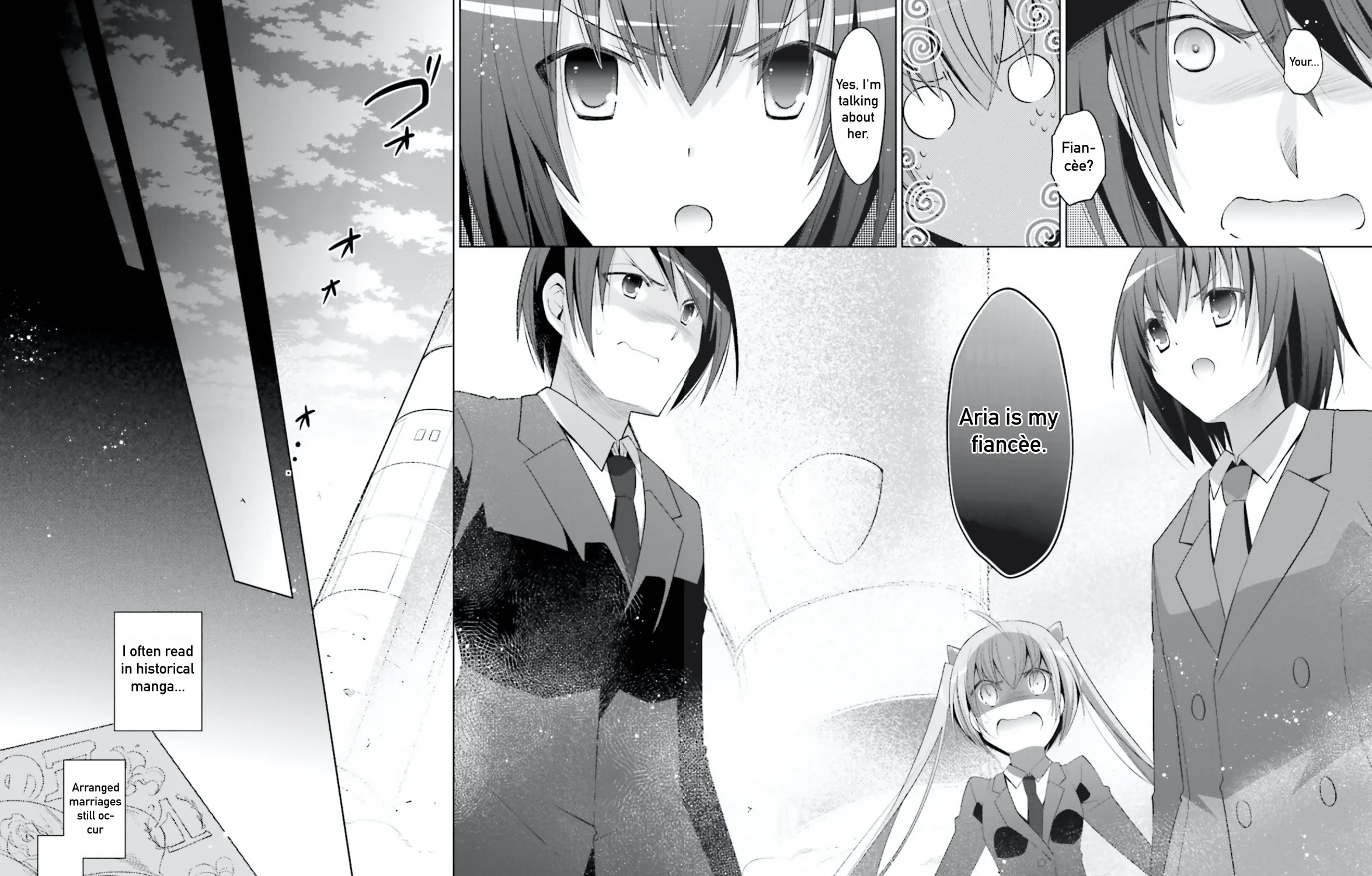 Hidan No Aria Zinmanga X Chapter 101 Page 23