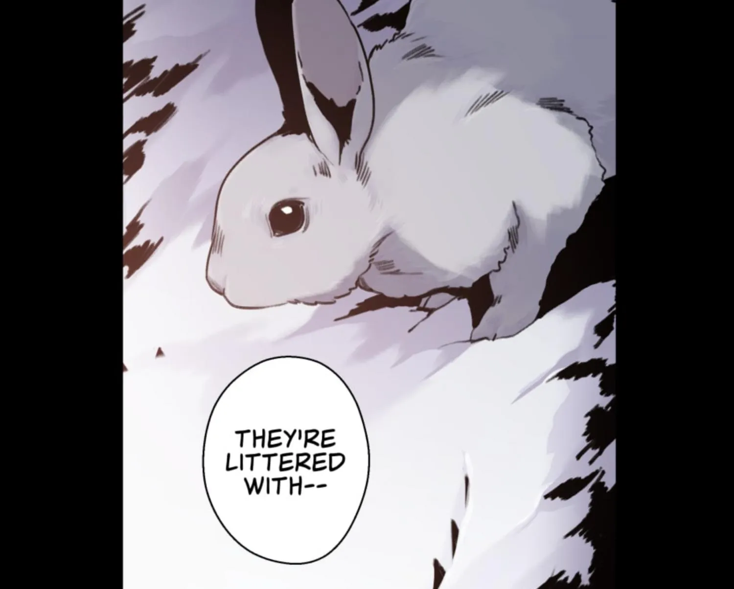 Sharpe And Rabbit Zinmanga X Chapter 36 Page 13