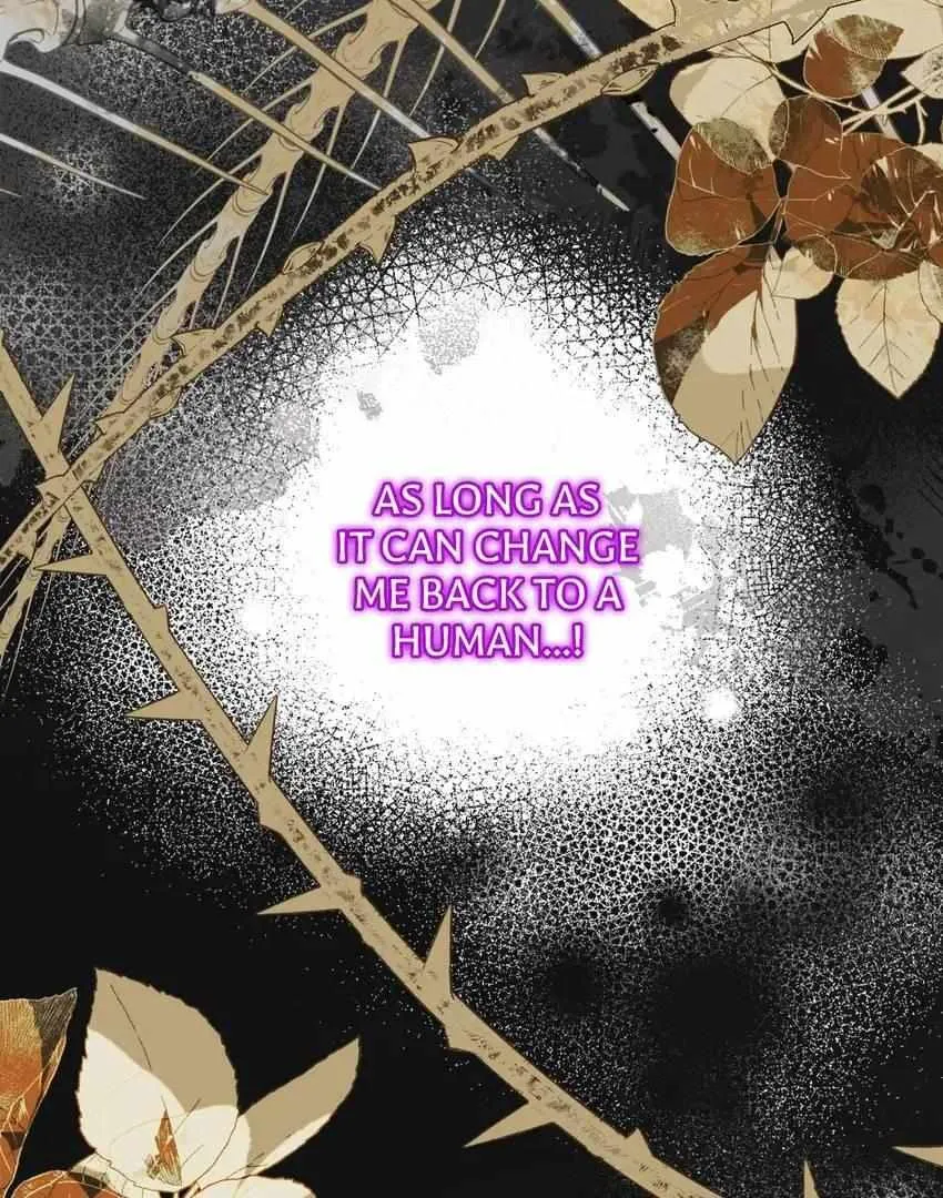 I’m A Doll, But The Tyrant Is Obsessed With Me Zinmanga X Chapter 36 Page 82