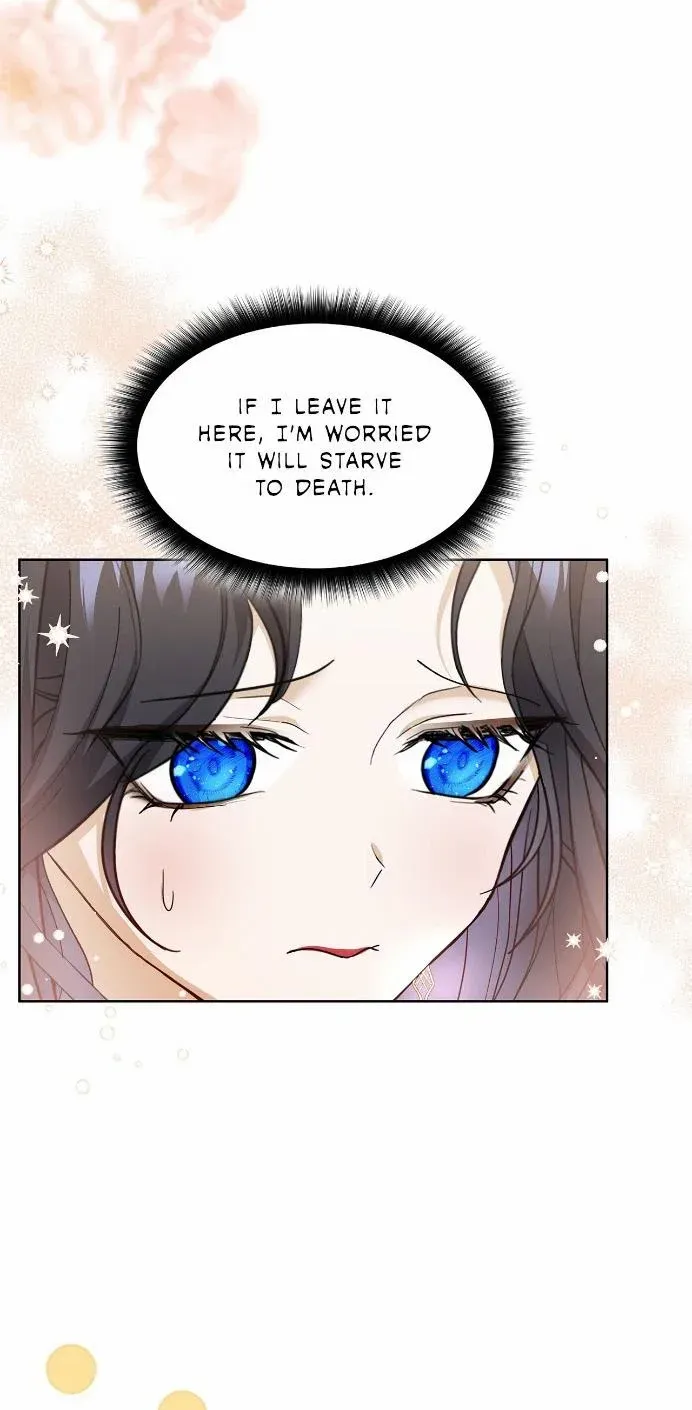 Becoming the Obsessive Male Lead’s Ex-Wife Zinmanga X Chapter 16 Page 21