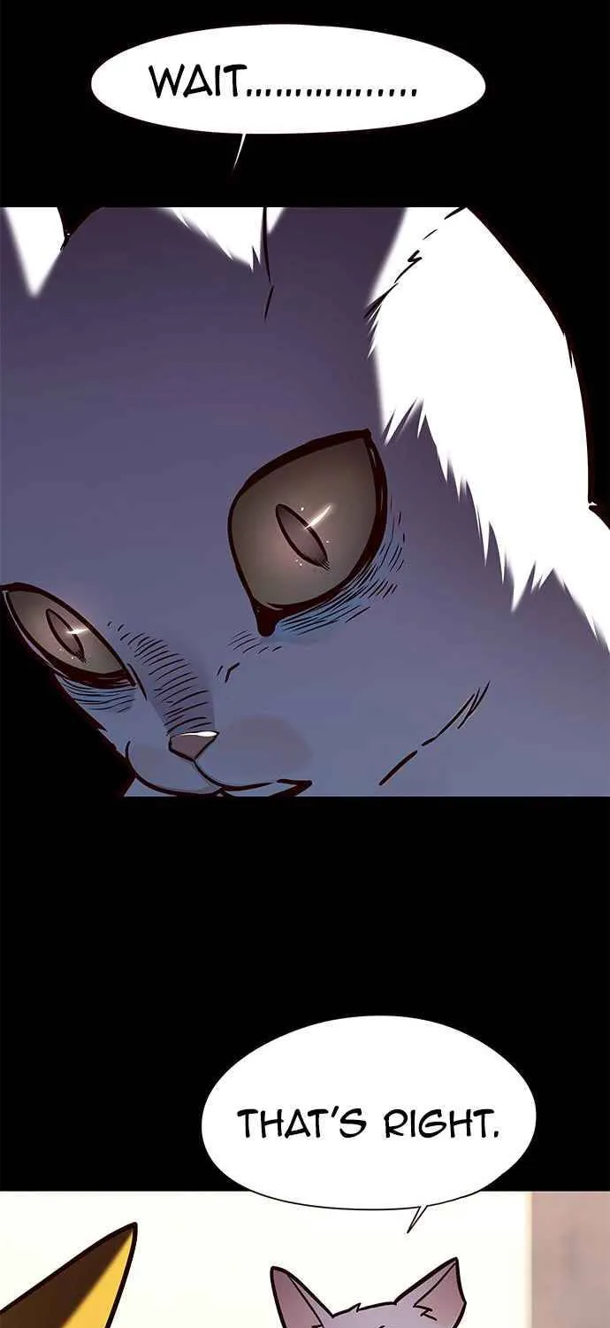 Eleceed Zinmanga X Chapter 142 Page 14