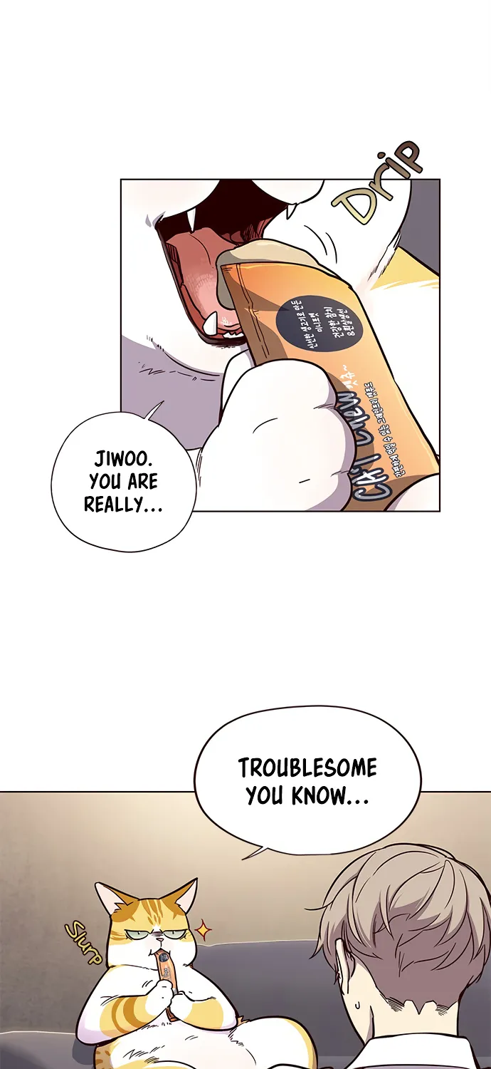 Eleceed Zinmanga X Chapter 19 Page 13