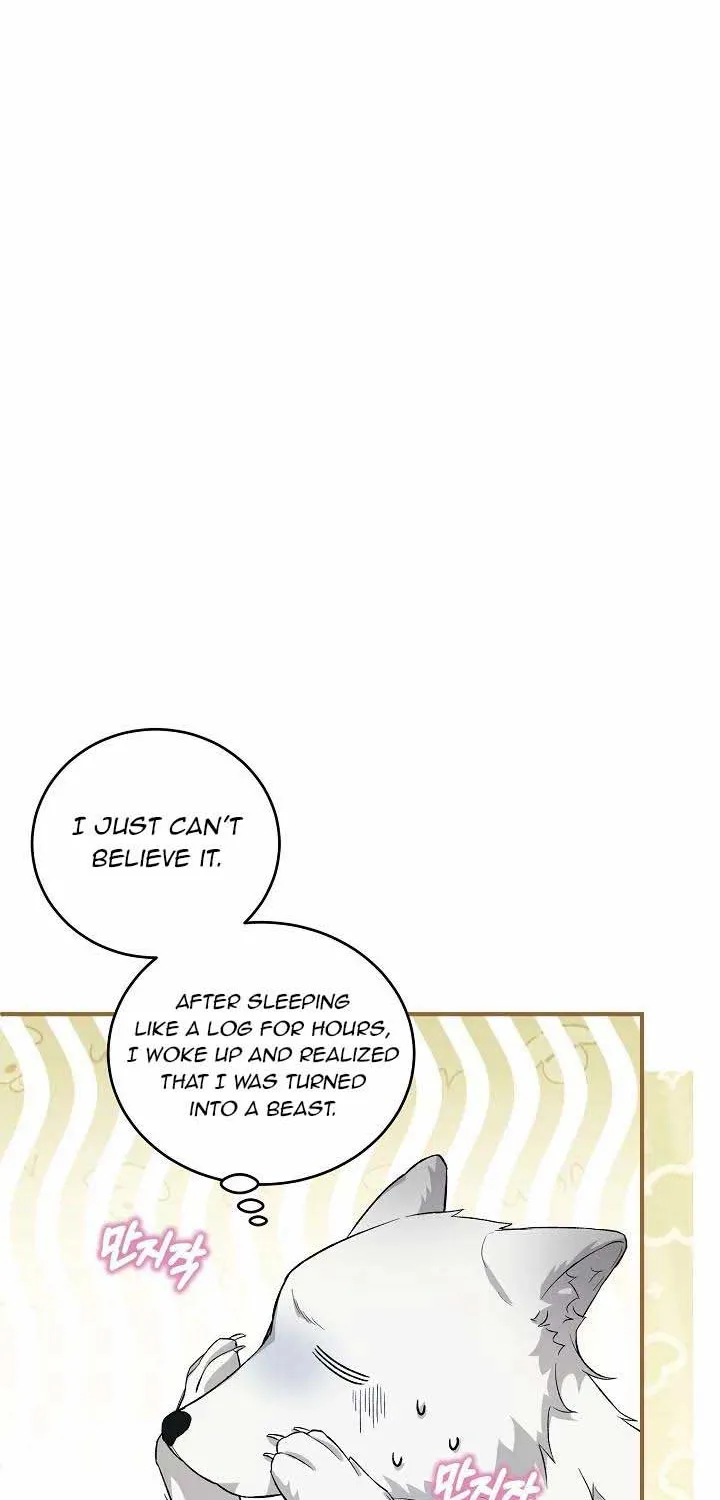 The Heroine Wants Me As Her Sister-In-Law Zinmanga X Chapter 20 Page 8