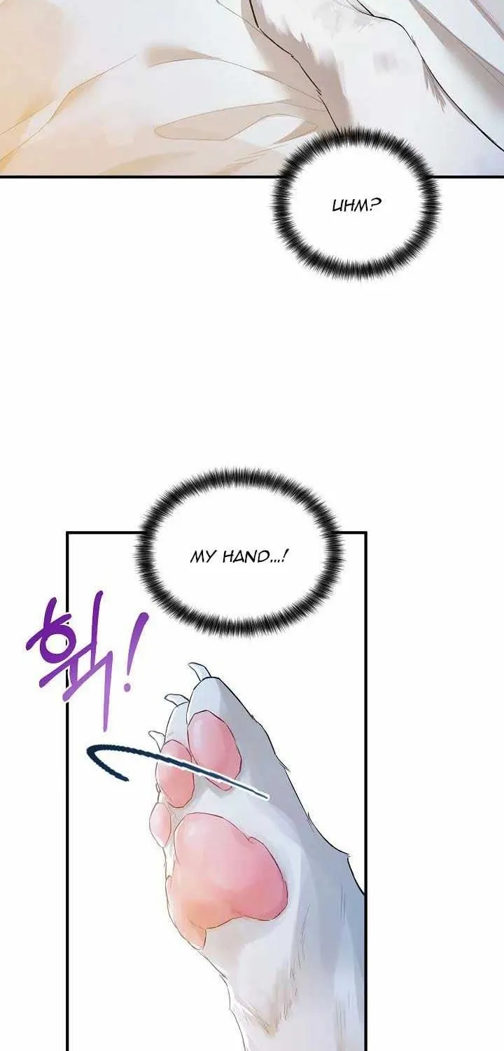 The Heroine Wants Me As Her Sister-In-Law Zinmanga X Chapter 19 Page 72