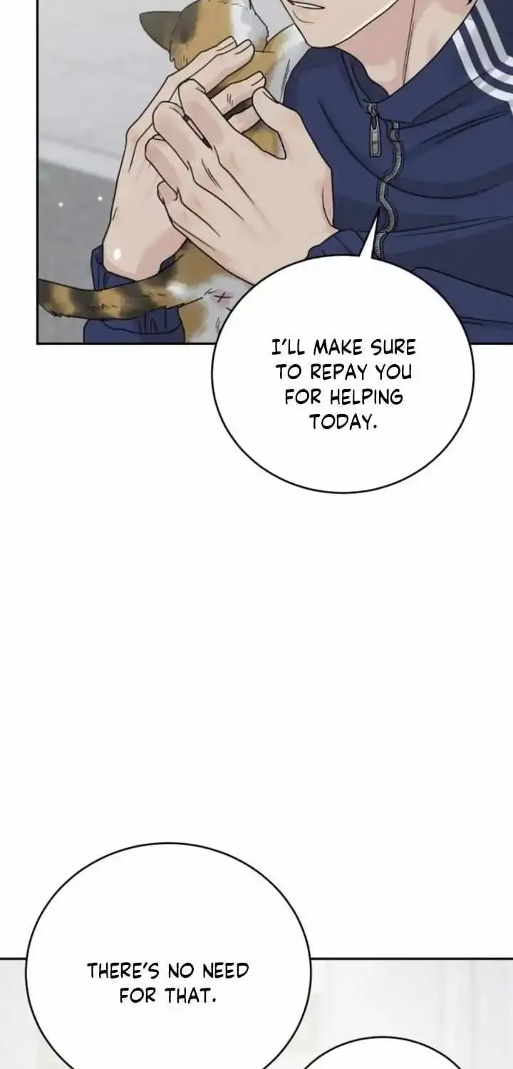 The Selfish Romance Zinmanga X Chapter 19 Page 33