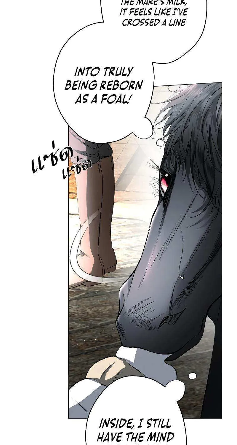 The Tyrant's Loyal Warhorse Zinmanga X Chapter 4 Page 72