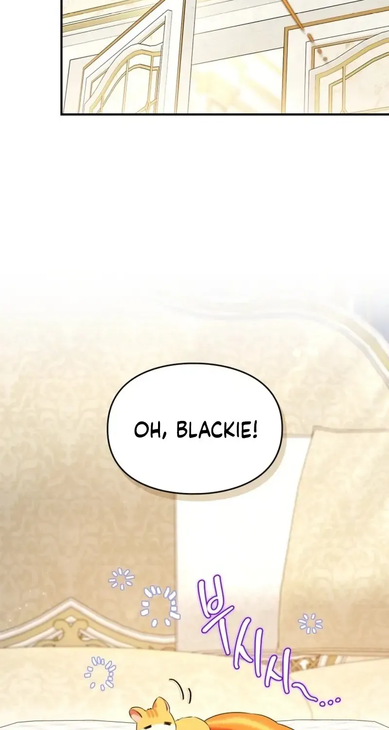 I Became A Squirrel Seeking For The Villain Zinmanga X Chapter 11 Page 4