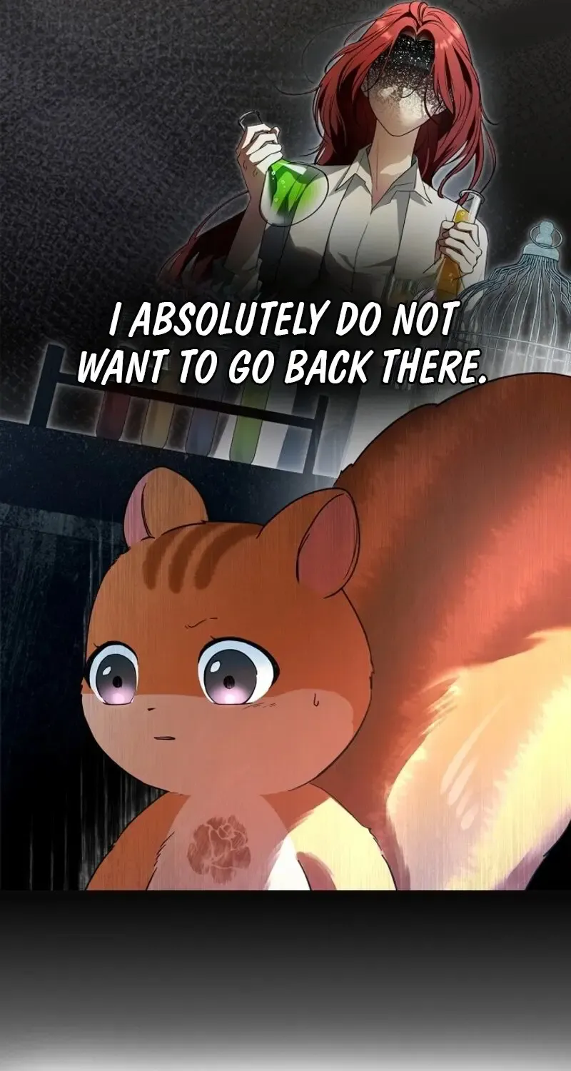 I Became A Squirrel Seeking For The Villain Zinmanga X Chapter 9 Page 31
