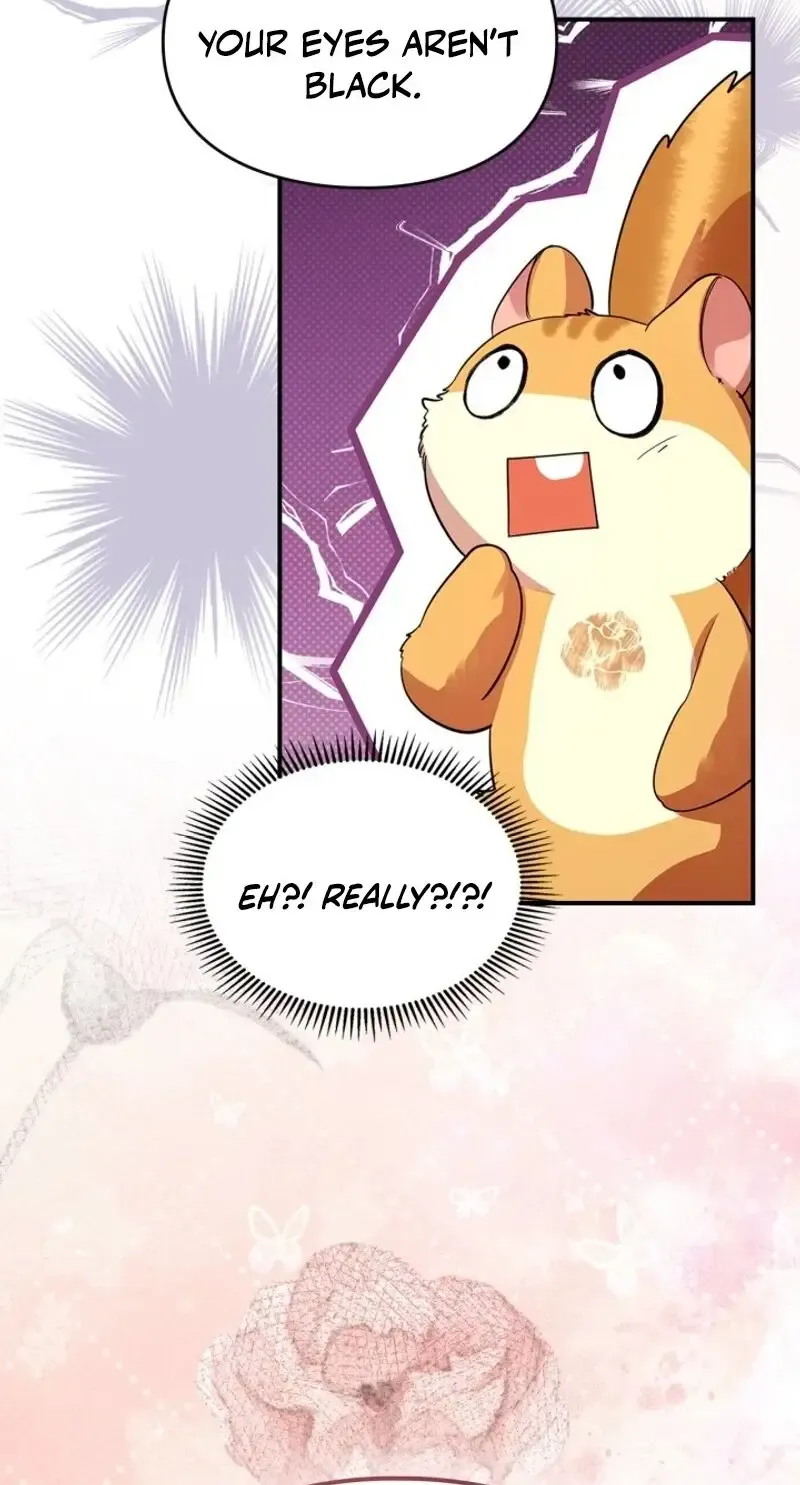 I Became A Squirrel Seeking For The Villain Zinmanga X Chapter 8 Page 51