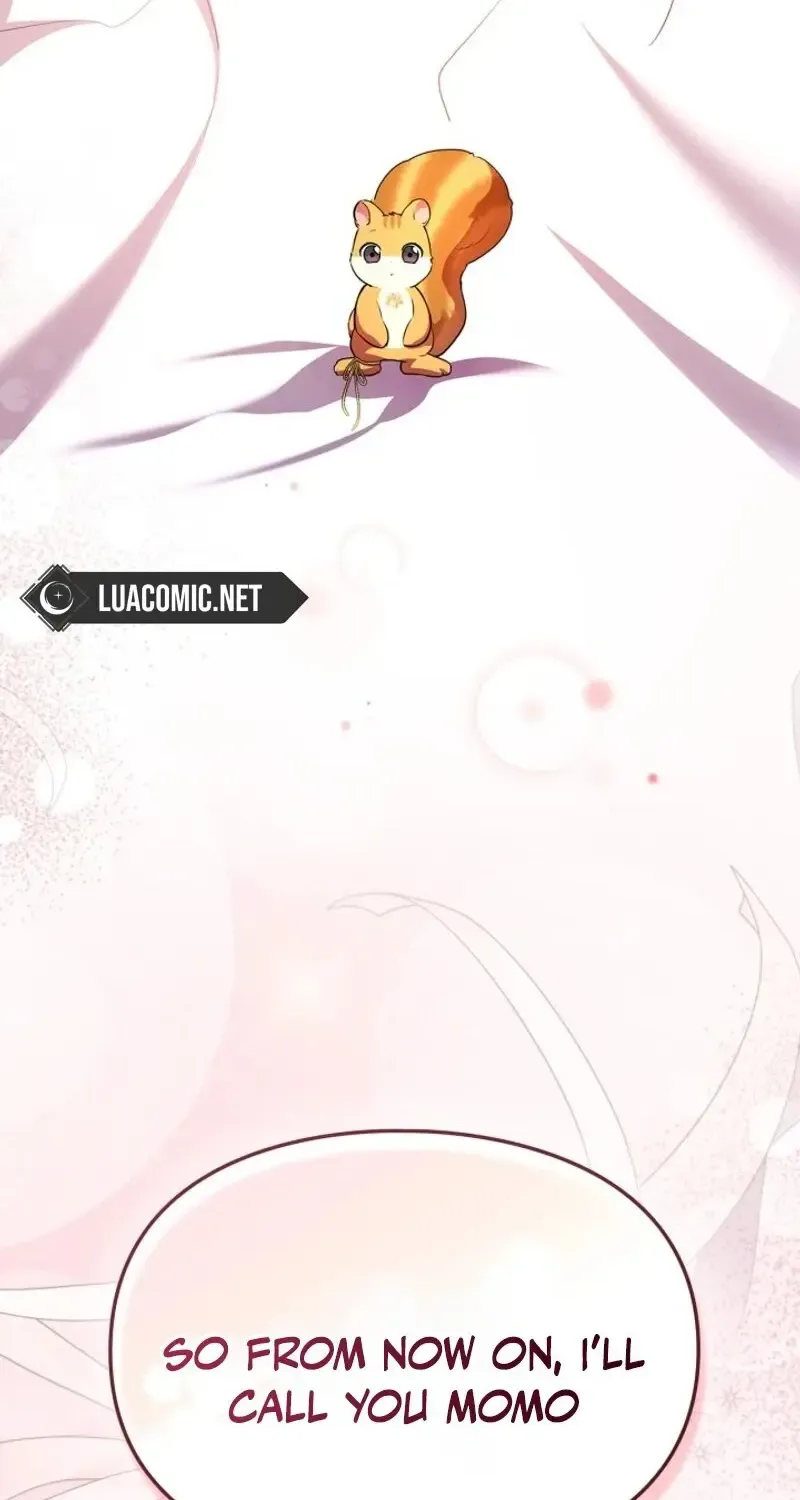I Became A Squirrel Seeking For The Villain Zinmanga X Chapter 8 Page 53