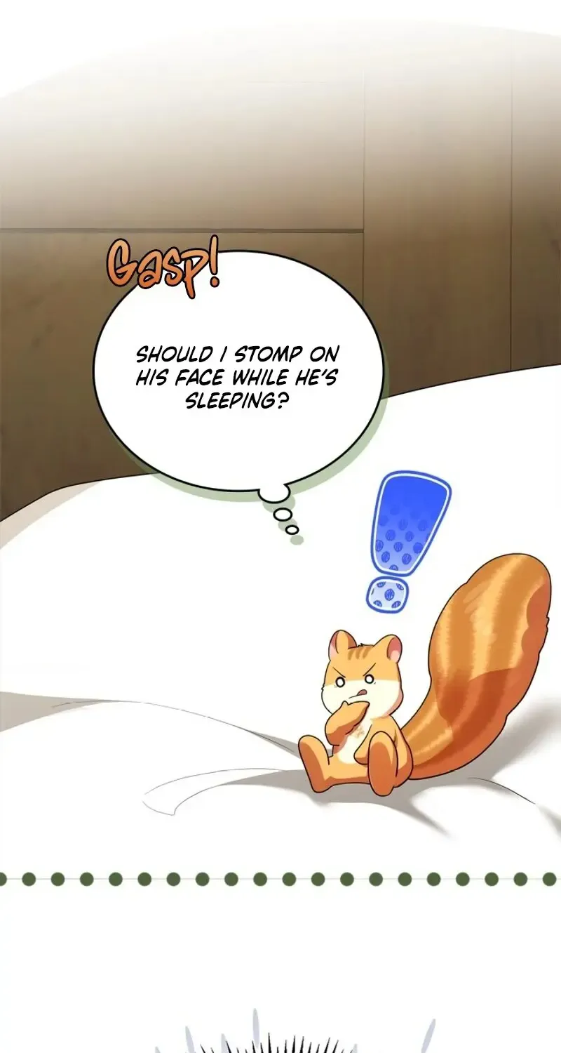 I Became A Squirrel Seeking For The Villain Zinmanga X Chapter 6 Page 47