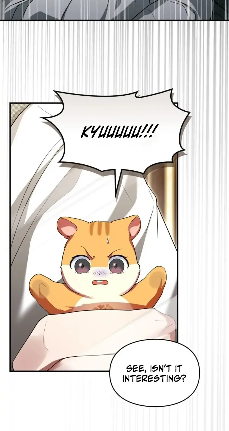 I Became A Squirrel Seeking For The Villain Zinmanga X Chapter 5 Page 4