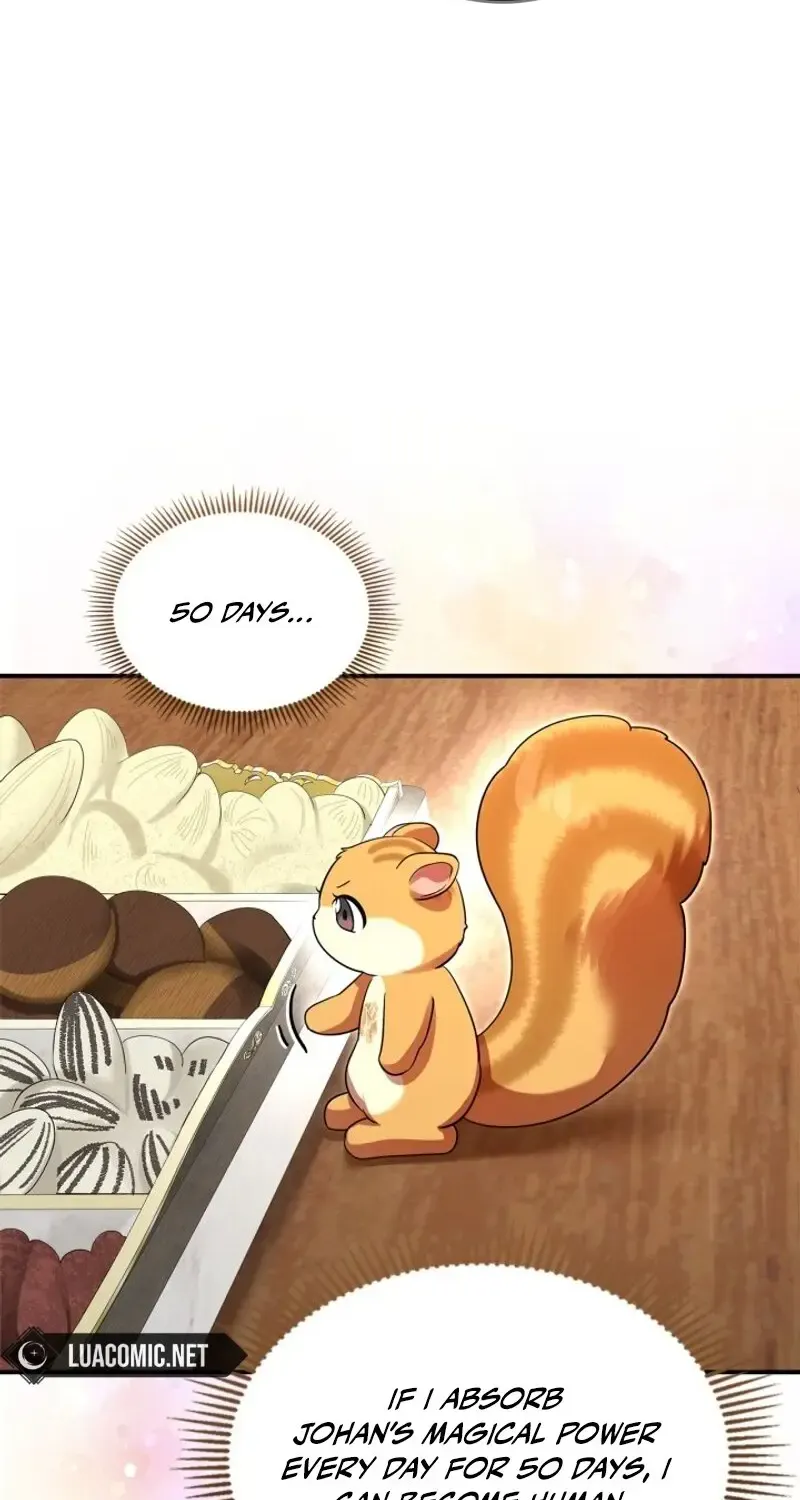 I Became A Squirrel Seeking For The Villain Zinmanga X Chapter 4 Page 32